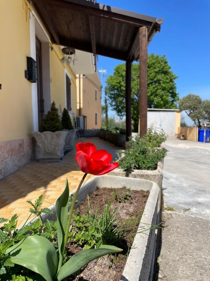 Sunflower Lanciano Exterior photo